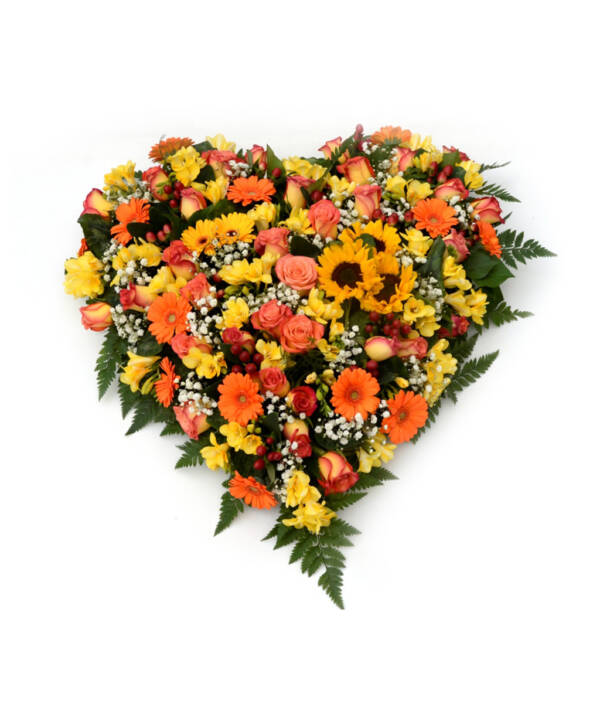 Cuore piccolo